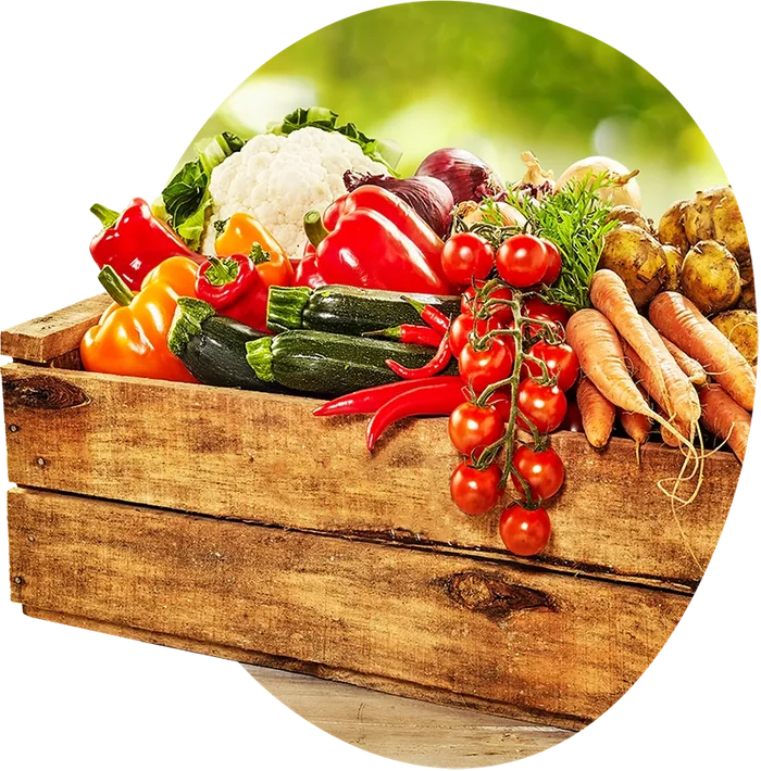 Cassetta di verdure fresche di stagione